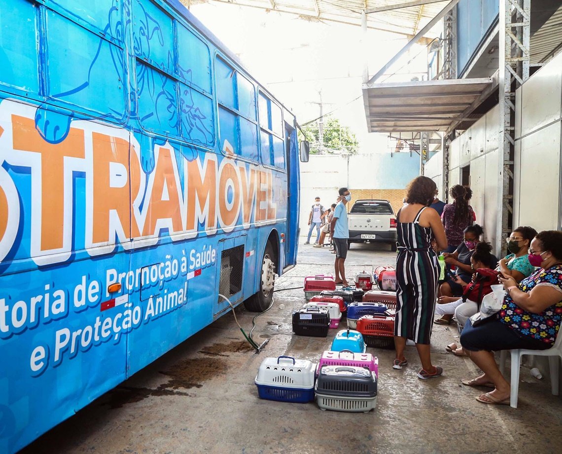 Castramóvel estaciona no Vale da Muriçoca durante a semana; saiba como agendar a castração do seu pet