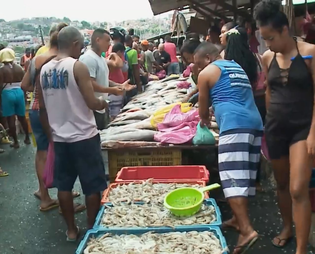 Semana Santa: Porto das Sardinhas é opção mais barata para pescados em Salvador; veja pesquisa na íntegra  