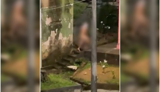 Moradores filmam "peladão" que faz questão de se masturbar em público em Salvador; o que está acontecendo? 