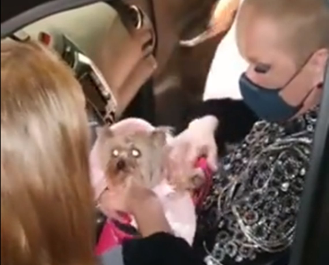 Xuxa se recusa a tirar foto com fã bolsonarista e vídeo viraliza; "tu não é bolsominia?"