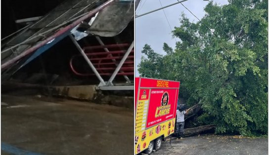 Por conta da chuva e ventos fortes, placa publicitária e árvore caem em Salvador