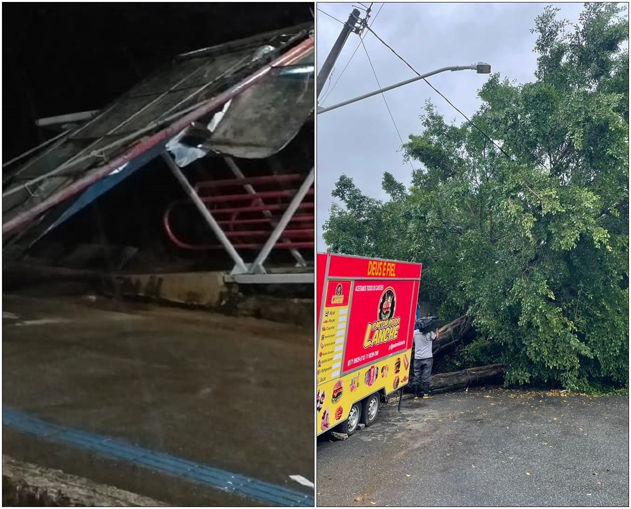 Por conta da chuva e ventos fortes, placa publicitária e árvore caem em Salvador