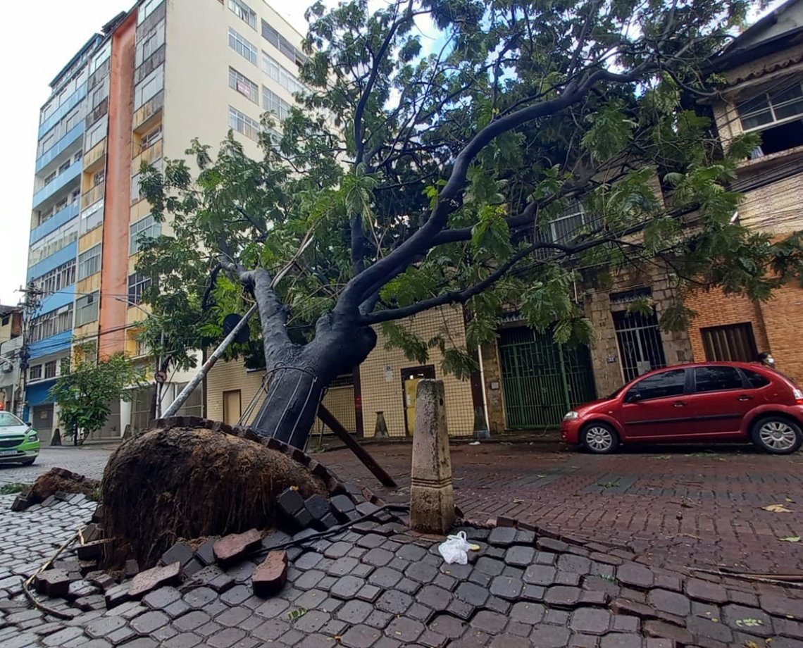 Árvore cai no bairro Dois de Julho atingindo fiação do bairro e apartamento