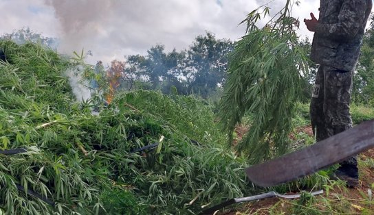 Fim de beck em Salvador: operações da SSP fazem maconha desaparecer do "mercado"; PM sufoca "Polígono" no Norte