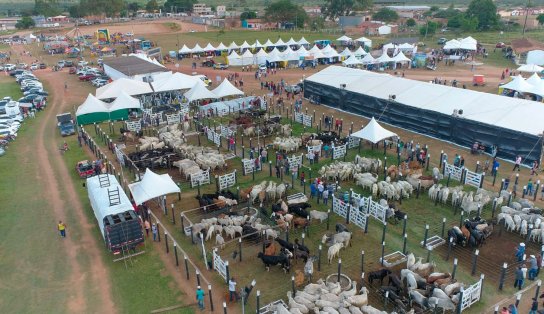 Morro do Chapéu: Feira Agropecuária movimenta R$ 6 milhões na cidade e atrai cerca de 30 mil pessoas