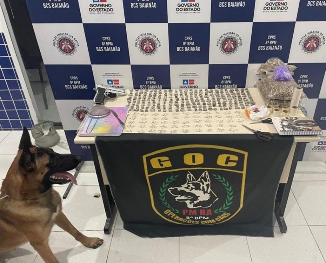A Patrulha Canina: operação com cachorros da Polícia Militar apreende drogas prontas para venda em Salvador