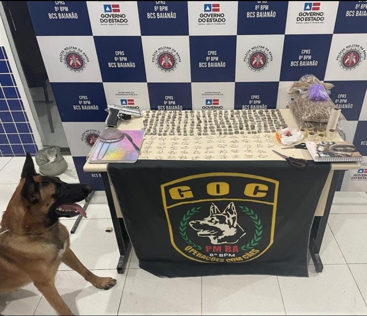 A Patrulha Canina: operação com cachorros da Polícia Militar apreende drogas prontas para venda em Salvador  