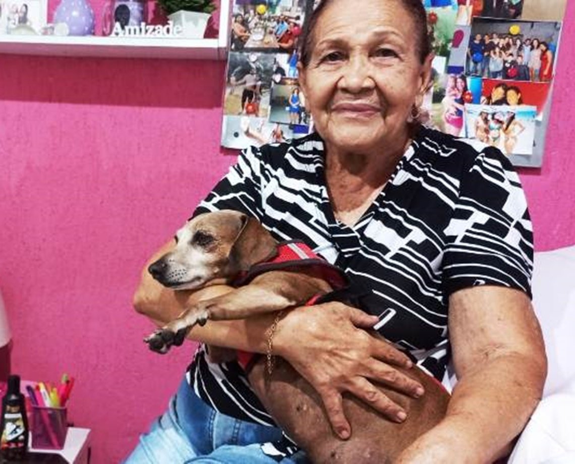 Herói: cãozinho alerta cuidadora e ajuda a salvar casal de idosos de incêndio em Feira de Santana