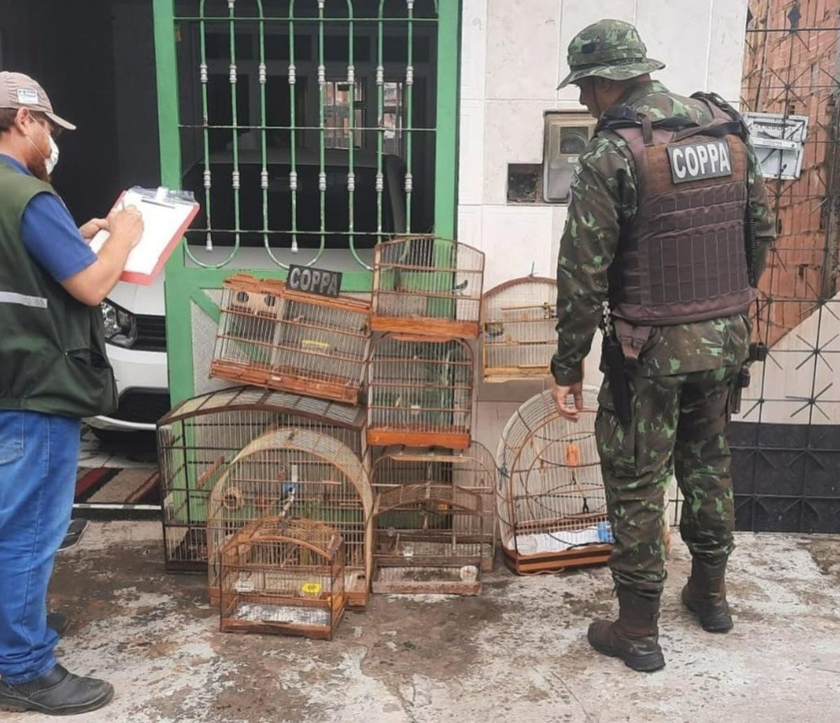 Liberaram a rolinha: operação da PM acha animais engaiolados em Salvador, Praia do Forte e Sauipe  