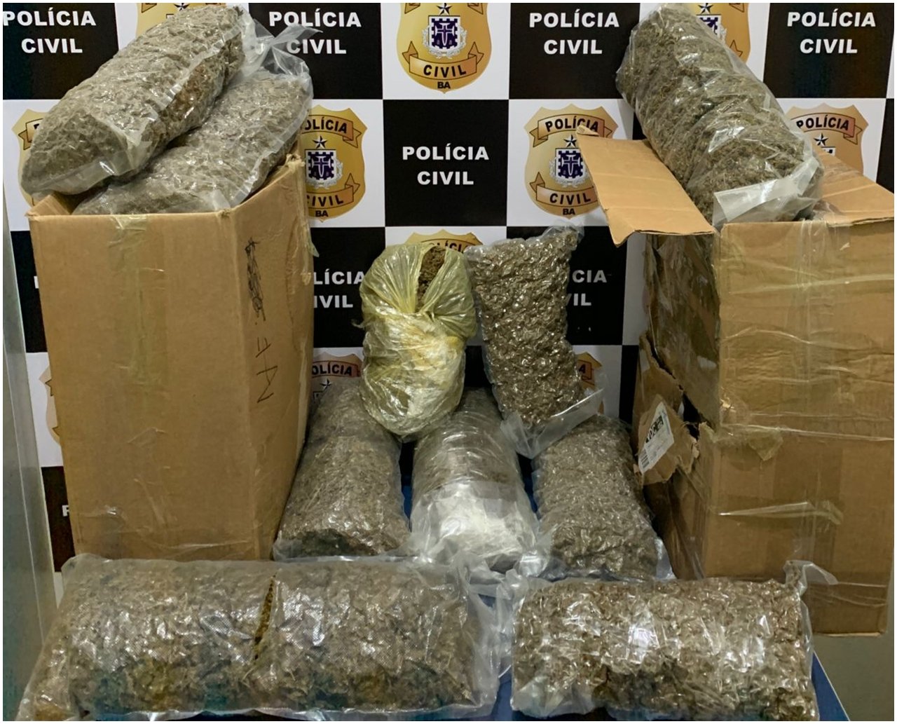 Polícia apreende 20 kg de maconha em Vitória da Conquista e desarticula esquema de tráfico interestadual