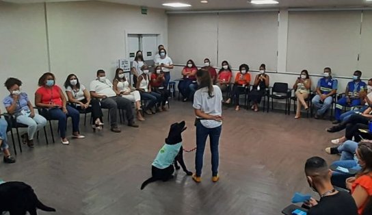 Diversão pra lá de animal: cães de intervenção assistida divertem colaboradores no Porto de Salvador 