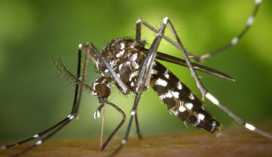 Quase 1 mil pessoas morreram em decorrência de doenças evitáveis ou reduzíveis na Bahia, em 2020