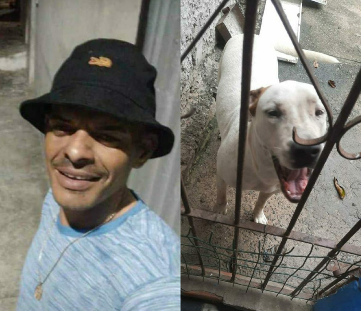 Eletricista morre após ser atacado por dois cachorros da raça Pitbull em Camaçari; esposa da vítima encontrou cena 