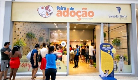 Com vacinação gratuita e adoção de pets, shopping de Salvador oferece serviços voltados para amantes de animais