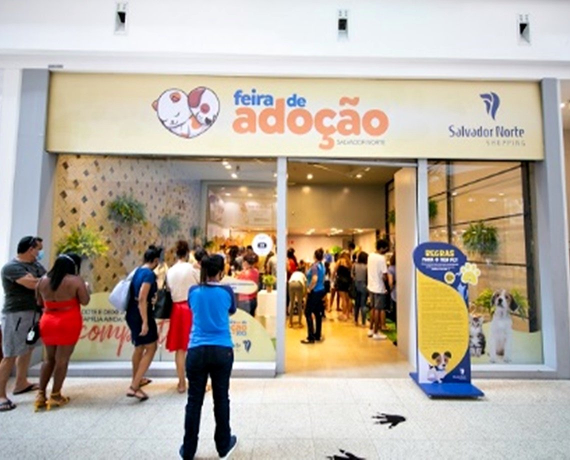 Com vacinação gratuita e adoção de pets, shopping de Salvador oferece serviços voltados para amantes de animais