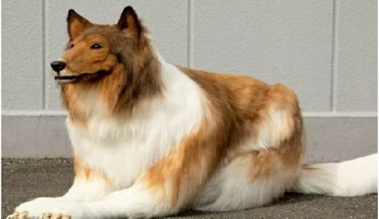 Ó QUE ARTE!: japonês gasta R$ 75 mil para realizar sonho de se transformar em cachorro 