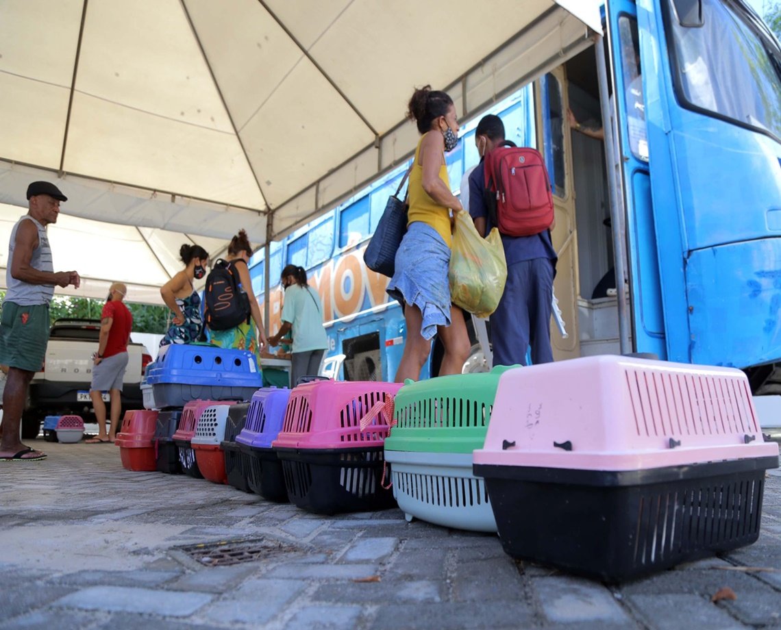 Percorrendo a cidade, Castramóvel estaciona no Itaigara para atender animais da região a partir de segunda-feira 