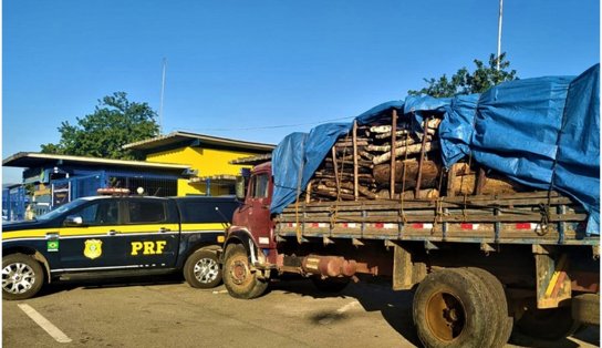 PRF flagra motorista transportando madeira ilegal no interior da Bahia 