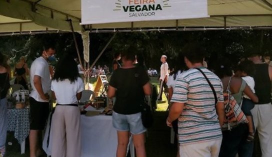 Feira Vegana traz clima de São João e romance para o Parque da Cidade 