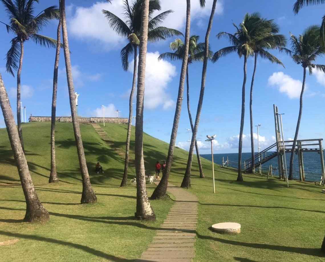 Vídeo: rato é flagrado 'curtindo' pôr do sol na Barra e assustando baianos e turistas; "tenho pavor"