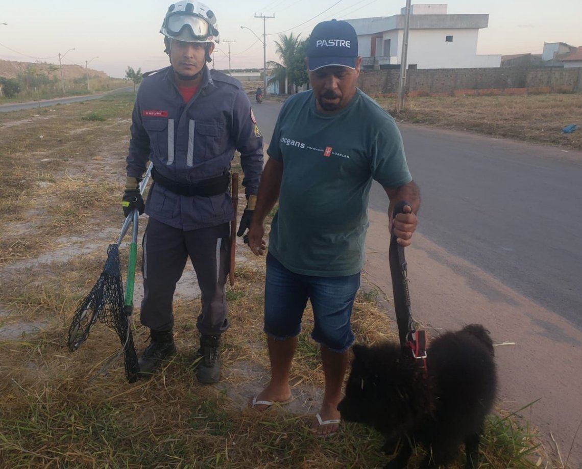 Cão é resgatado após três dias preso em bueiro no oeste da Bahia; animal não teve grave ferimentos