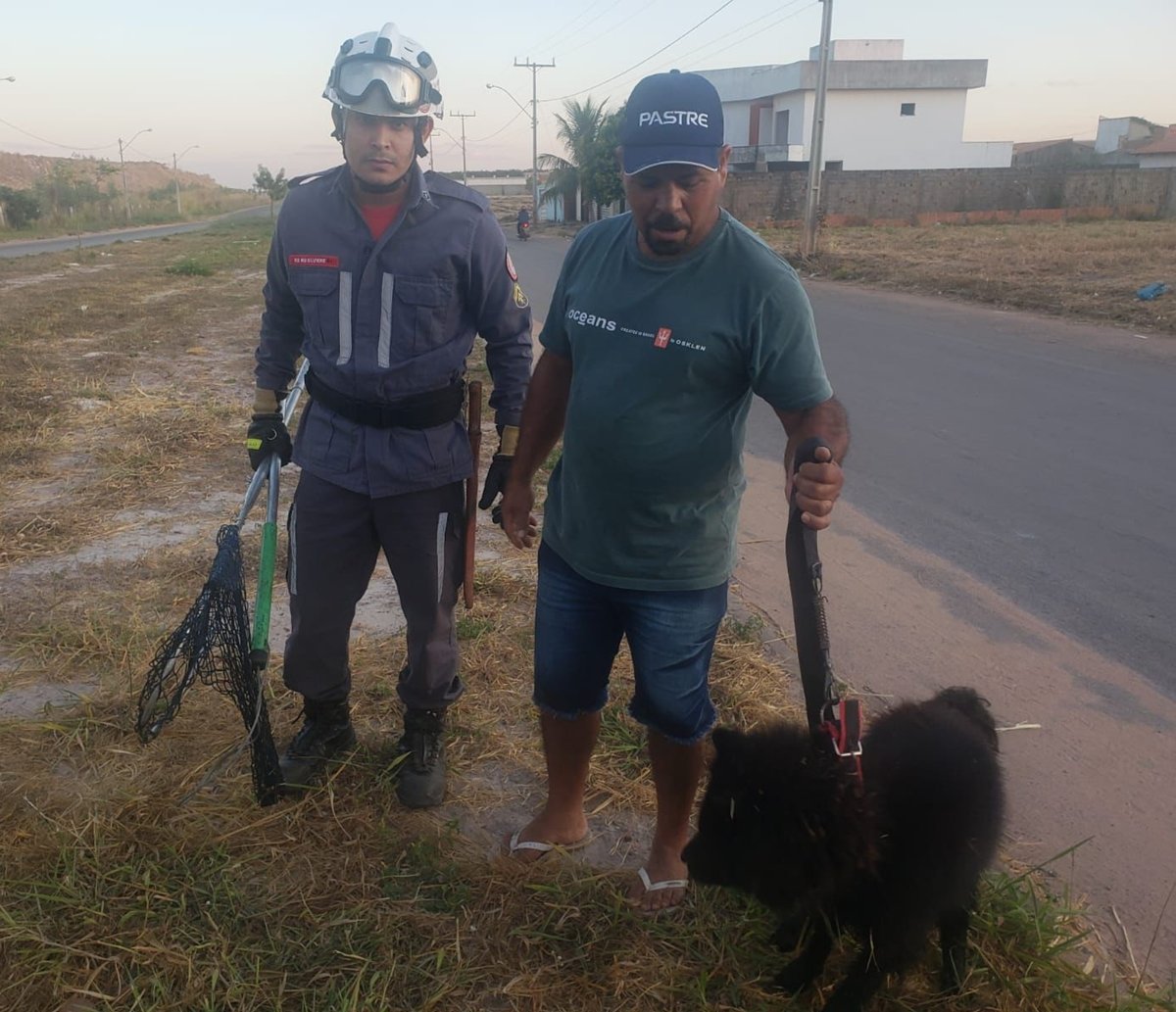 Cão é resgatado após três dias preso em bueiro no oeste da Bahia; animal não teve grave ferimentos