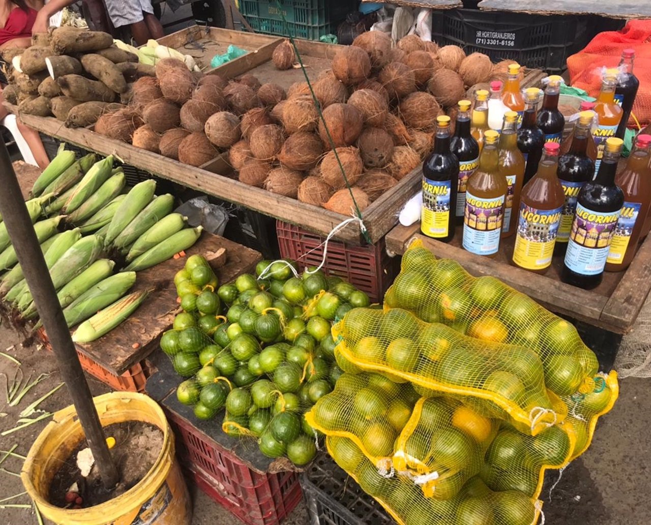 Com proximidade do São João, procura por produtos típicos cresce em Salvador; confira preços