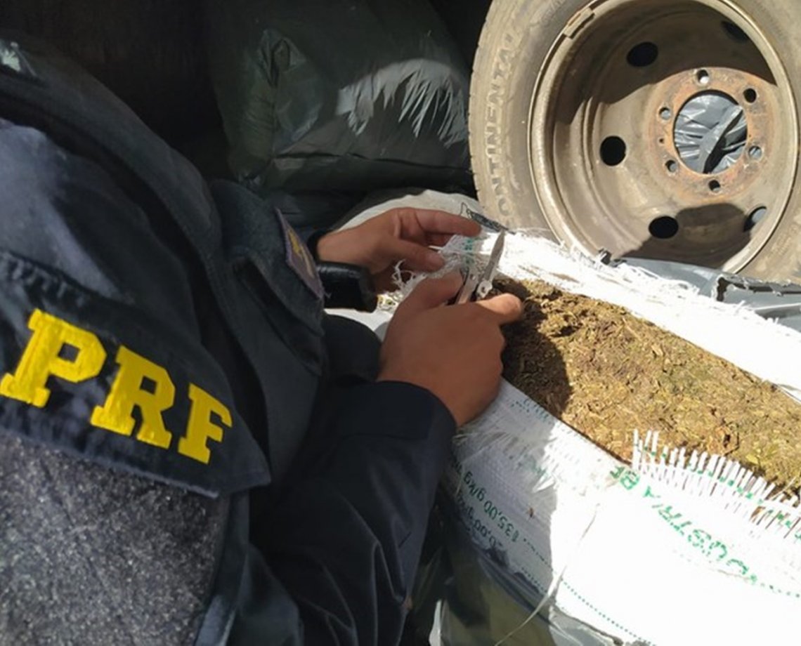 Amélia Rodrigues: PRF apreende 505 kg de maconha em carro clonado; suspeito é preso por tráfico de drogas