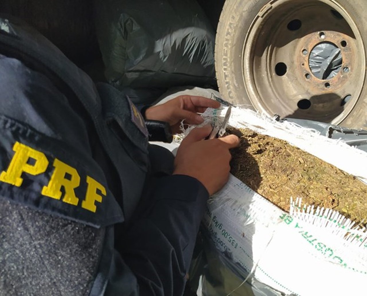 Amélia Rodrigues: PRF apreende 505 kg de maconha em carro clonado; suspeito é preso por tráfico de drogas