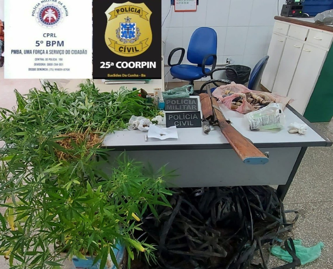 Roça de maconha é descoberta em povoado do interior da Bahia; dois homens foram presos