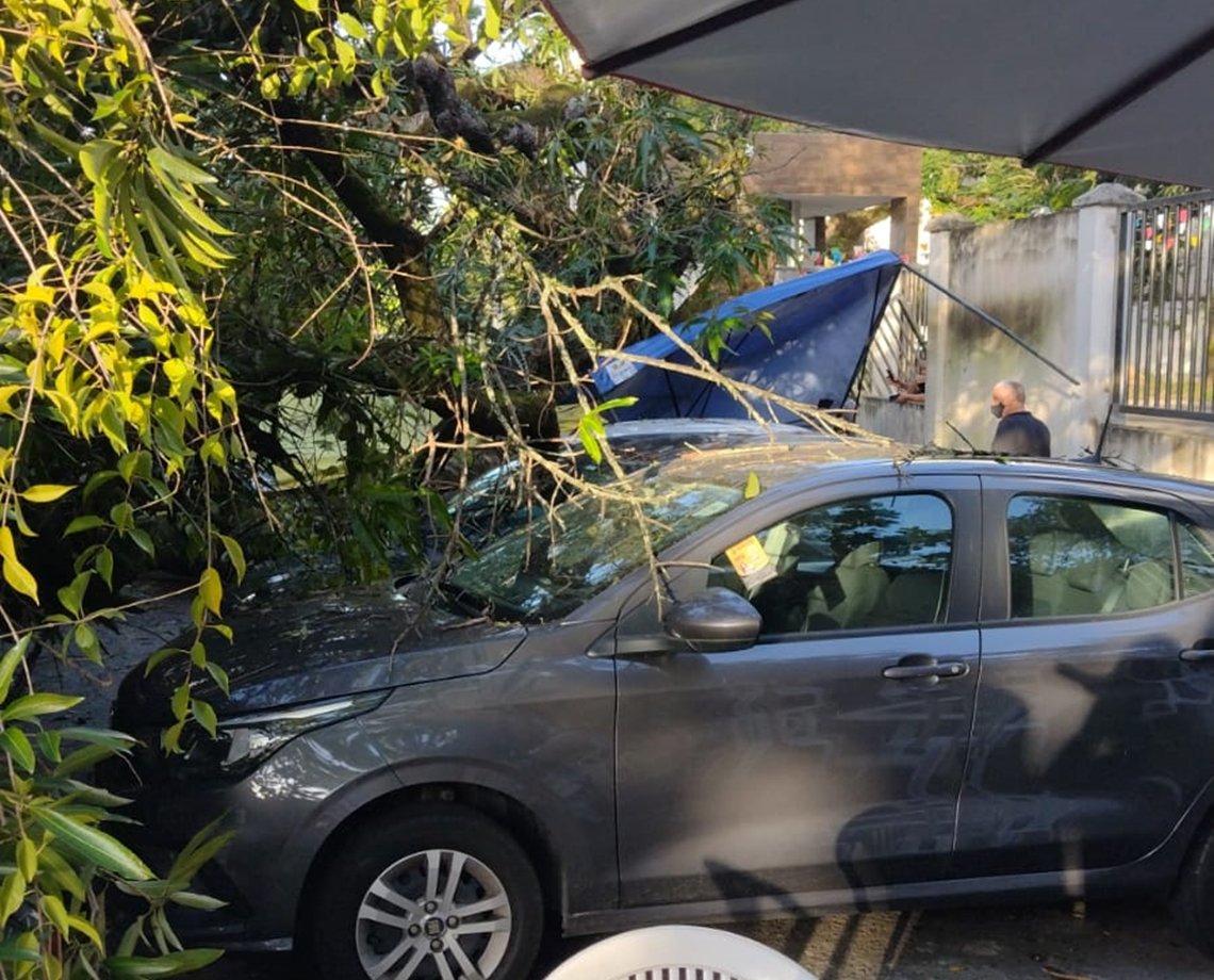 Árvore cai e danifica sete carros no bairro do Imbuí; Transalvador diz que trânsito não foi afetado