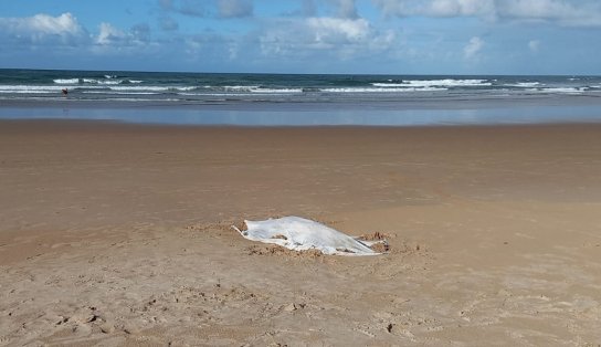 Corpo de mulher é encontrado em praia de Salvador; vítima não tinha sinais de afogamento