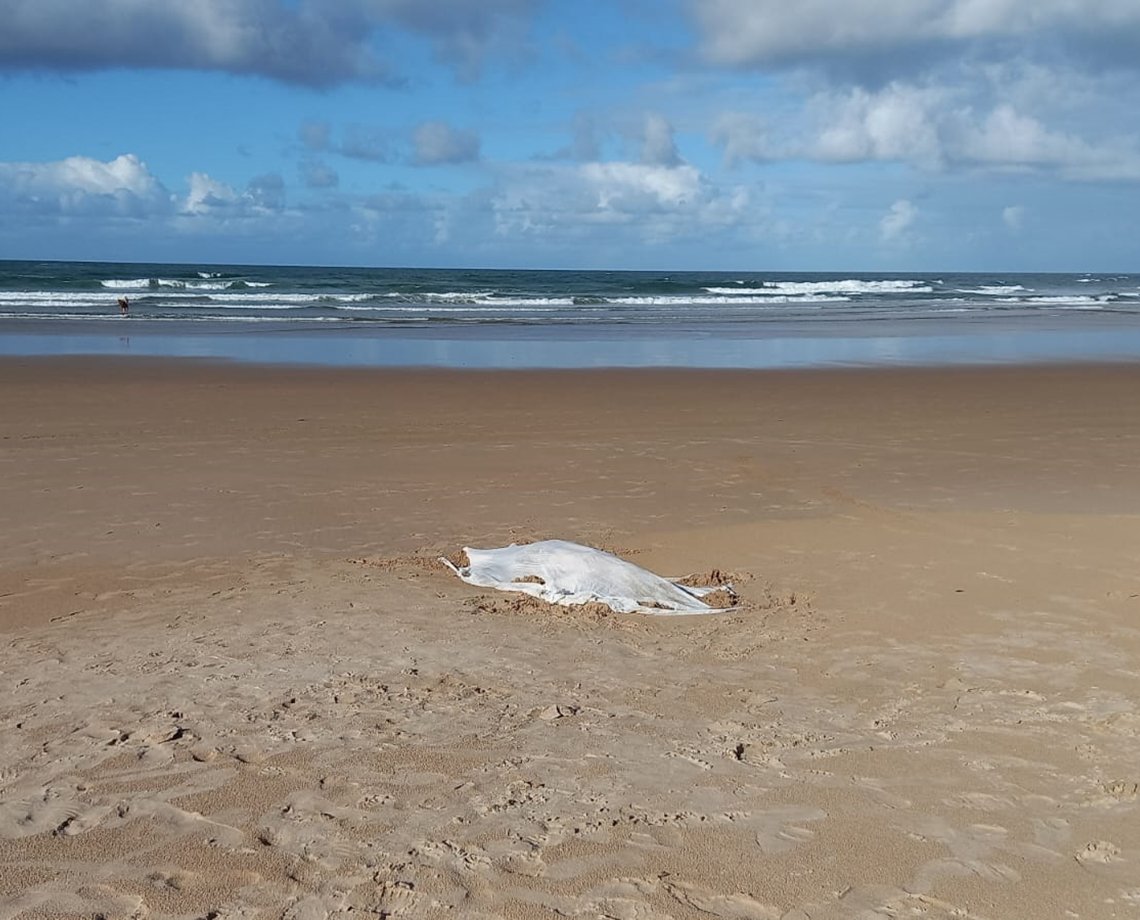 Corpo de mulher é encontrado em praia de Salvador; vítima não tinha sinais de afogamento