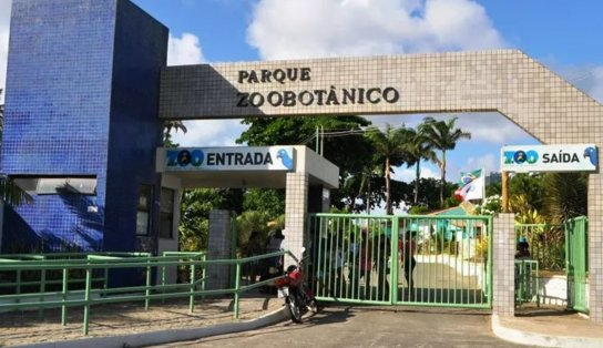 Ingressos a R$ 60 no zoo de Salvador? Secretaria se pronuncia sobre privatização e dá detalhes sobre o preço 