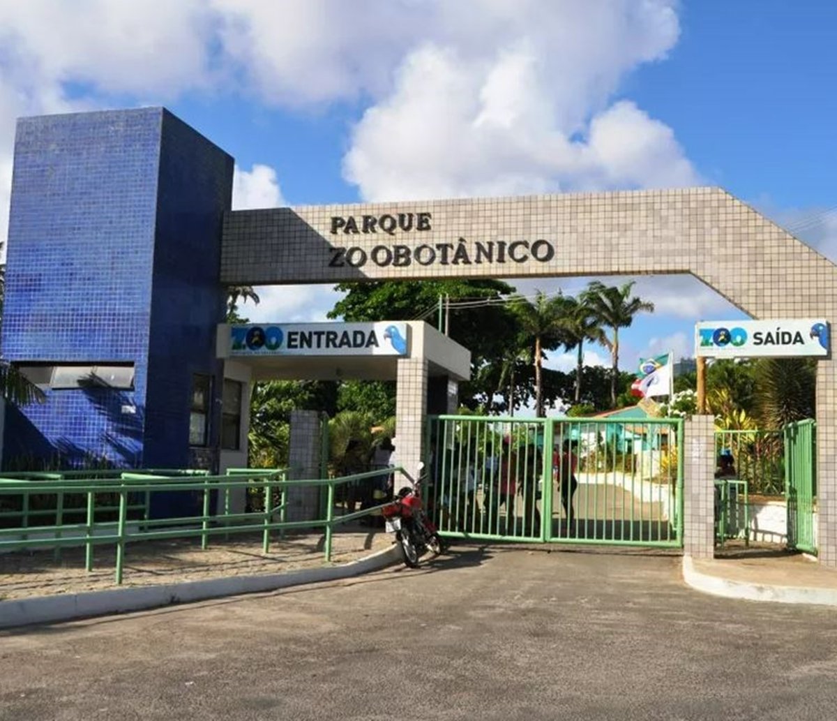 Ingressos a R$ 60 no zoo de Salvador? Secretaria se pronuncia sobre privatização e dá detalhes sobre o preço 