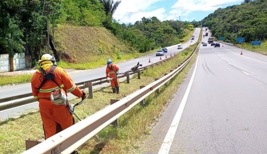 Rodovias da Região Metropolitana vão passar por manutenções; confira quais são