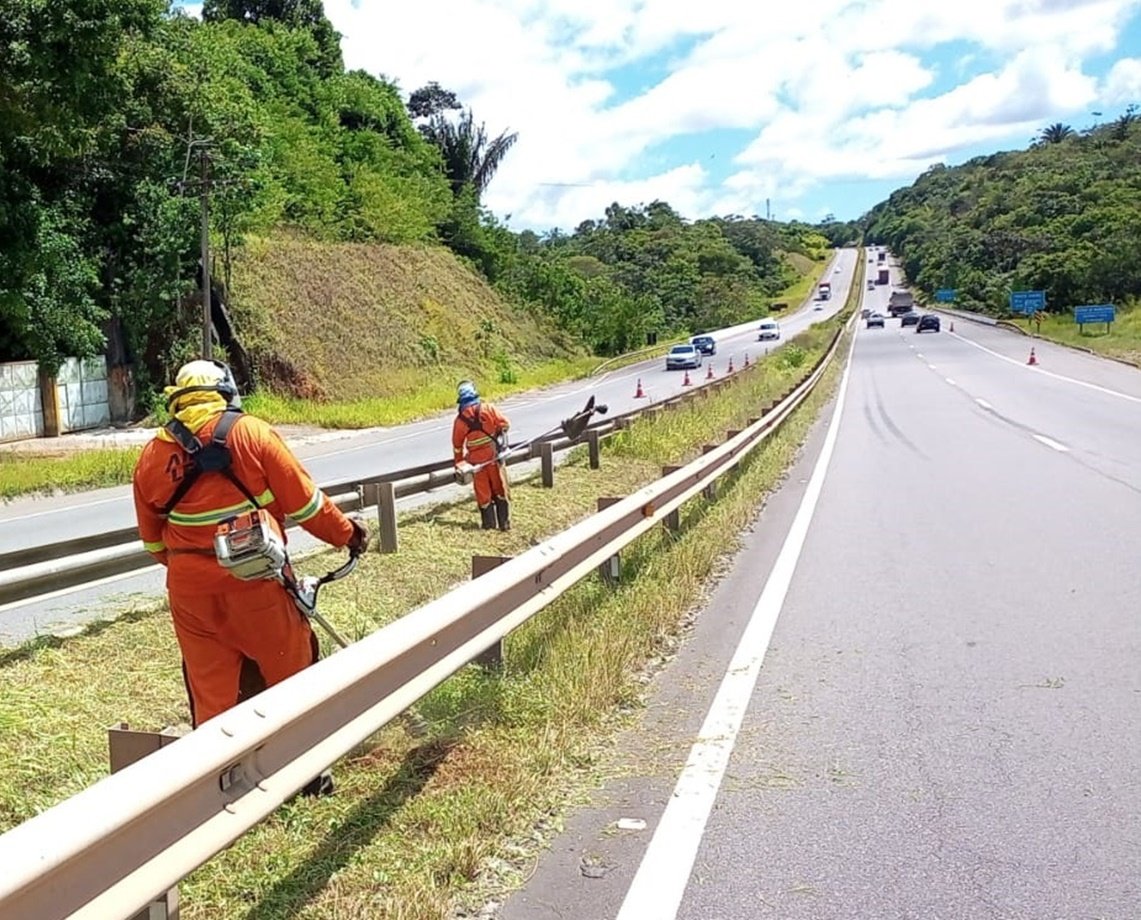 Rodovias da Região Metropolitana vão passar por manutenções; confira quais são