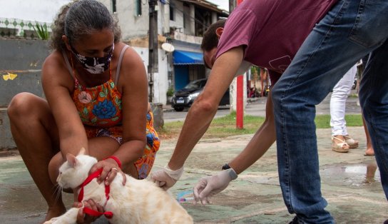 Campanha de vacinação antirrábica segue até setembro, em Lauro de Freitas; confira os pontos fixos e móveis