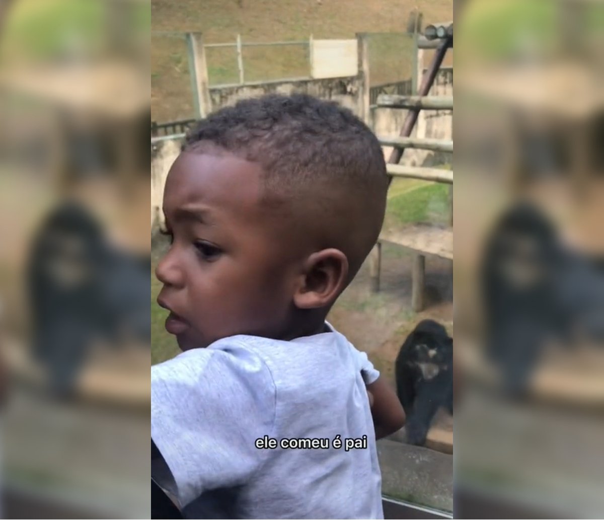 Em Salvador, criança se decepciona ao ver urso de perto no zoológico; veja vídeo 