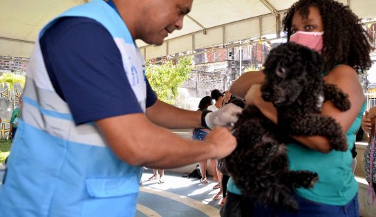 Vacinação antirrábica terá sistema drive-thru neste fim de semana; veja detalhes da campanha