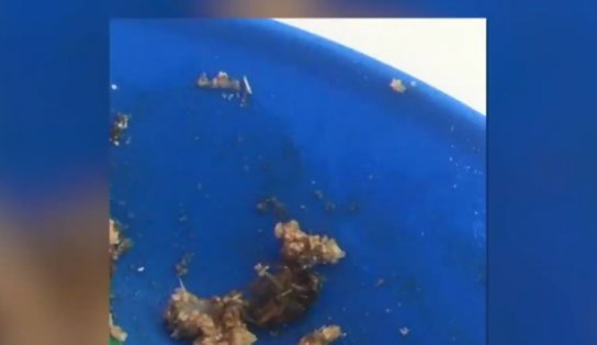 Estudante passa mal após merenda dentro de colégio estadual em Salvador; escola já teve larvas e baratas em comida 