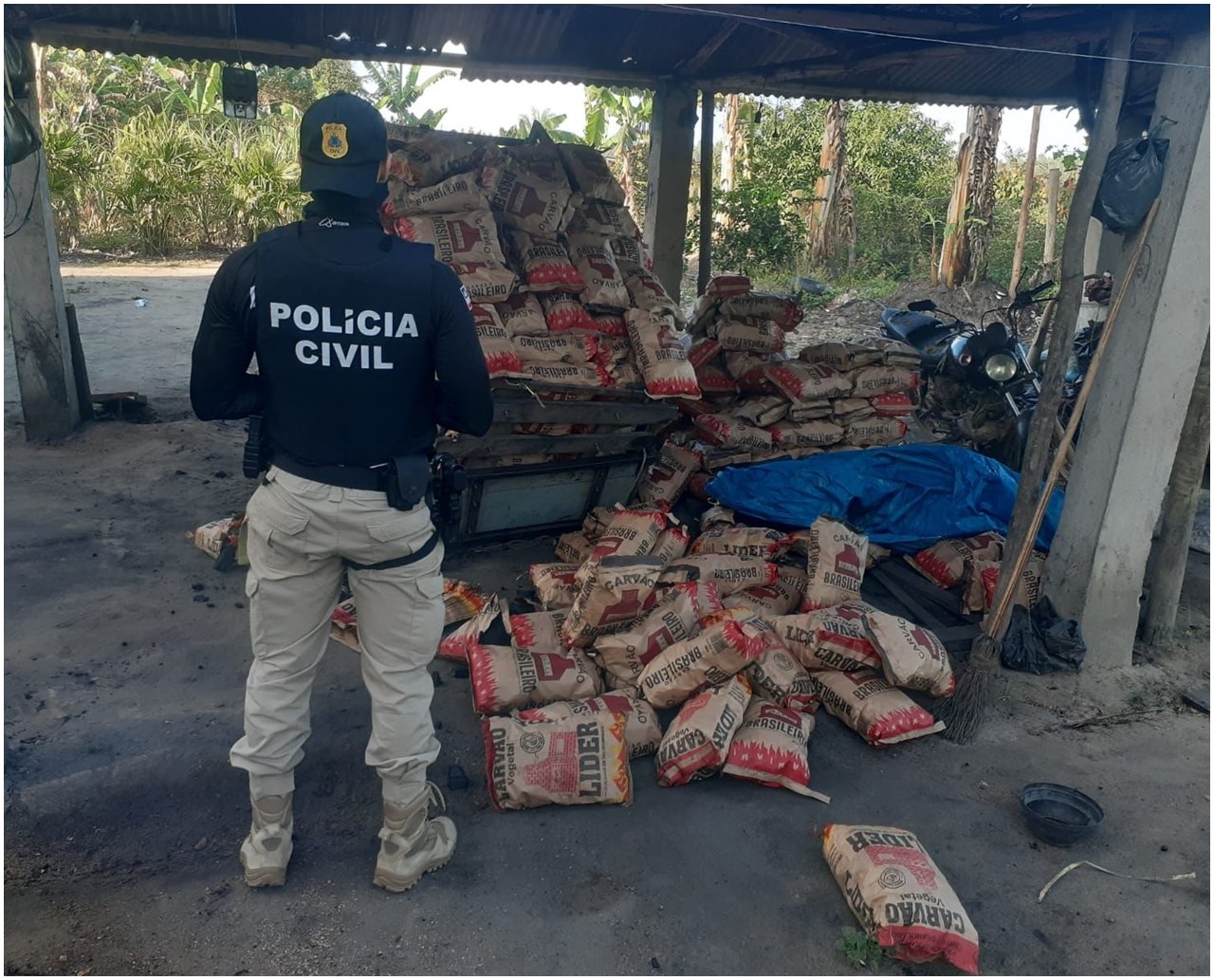 Polícia localiza quarteto acusado de produção ilegal de carvão no sul da Bahia 