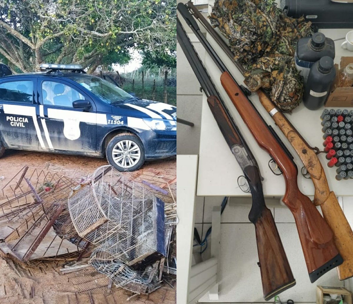 Homens são flagrados com aves silvestres, armas e munições em povoado de Serrinha; dupla está presa  