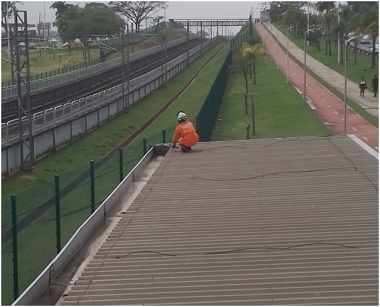 Metrô: Bombeiros resgatam cachorro em área restrita e perigosa na Estação Bairro da Paz, em Salvador