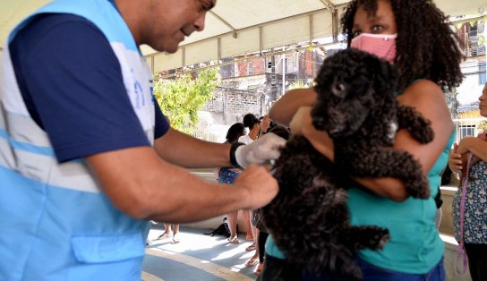 Campanha de vacinação antirrábica segue em quatro shoppings neste fim de semana em Salvador 