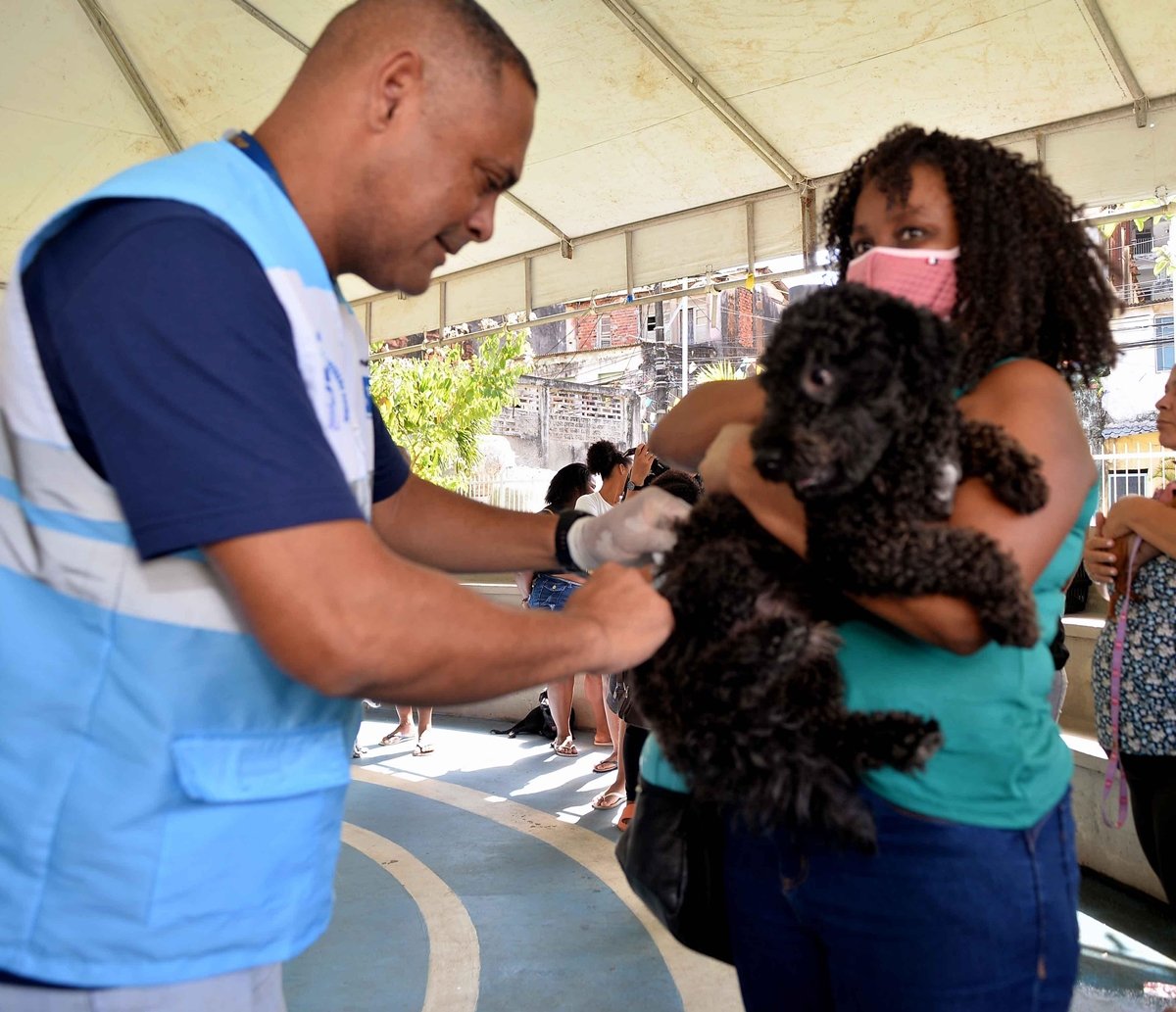 Campanha de vacinação antirrábica segue em quatro shoppings neste fim de semana em Salvador 