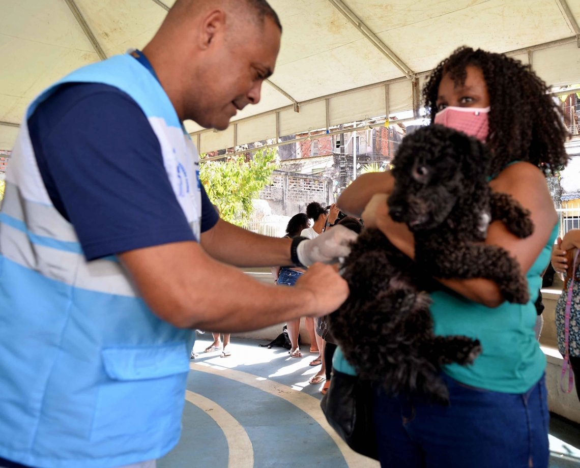 Campanha de vacinação antirrábica em Salvador entra na última semana