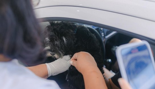 Dia D da Campanha de Vacinação Antirrábica acontece neste sábado