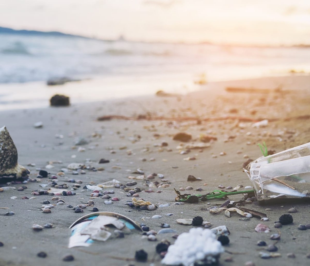 Ação ambiental promove encontro e limpeza das praias de Salvador neste sábado 