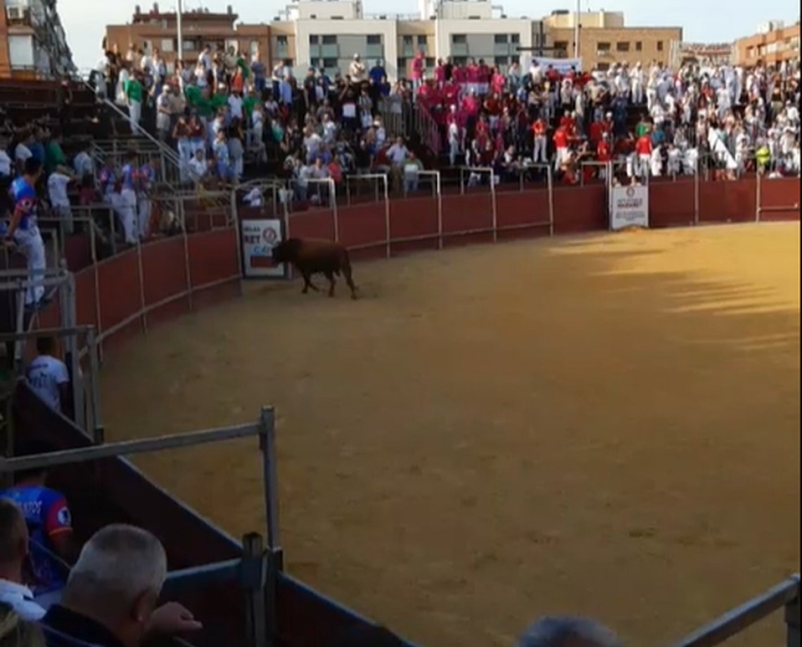 Homem morre após ser atingido por animal em tourada na Espanha; confira o vídeo